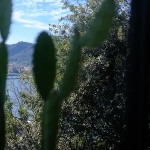 Veranda View Appartement